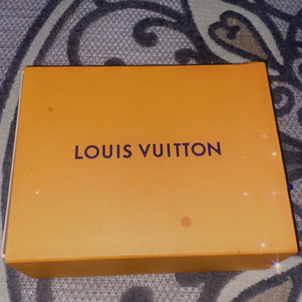 Louis Vuitton Shoes